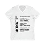 Unisex Jersey Short Sleeve V-Neck Tee