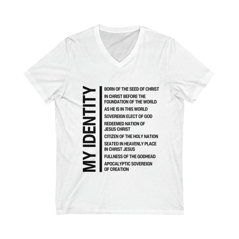 Unisex Jersey Short Sleeve V-Neck Tee