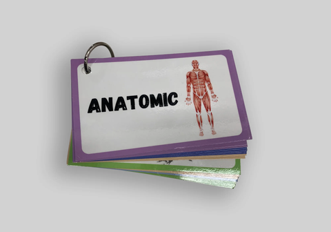 ABC’s of Biotic Gospel Flashcards